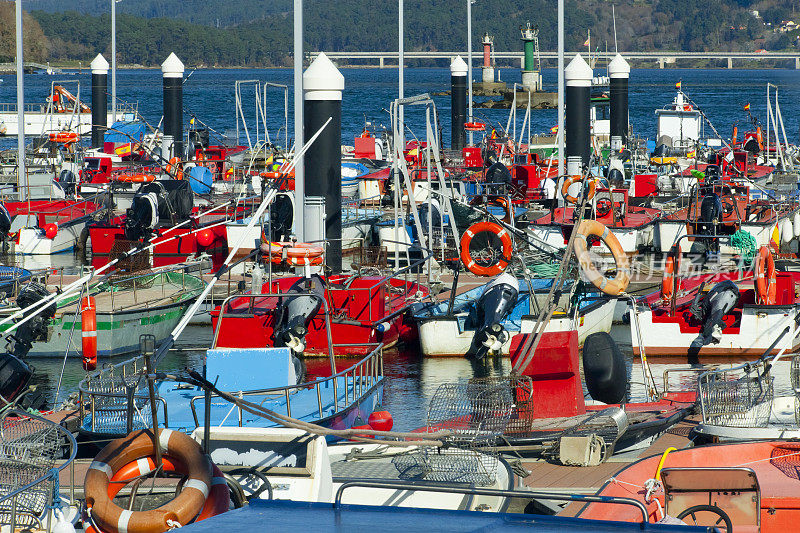 渔船，Testal港，A Coruña省，加利西亚，西班牙。